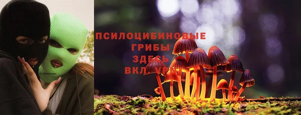 метадон Гусиноозёрск