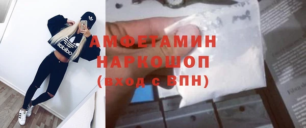 ПСИЛОЦИБИНОВЫЕ ГРИБЫ Гусев