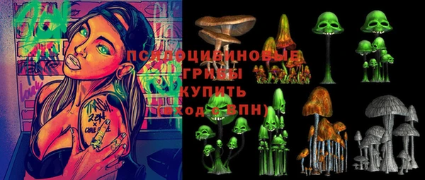 метадон Гусиноозёрск