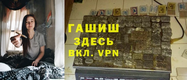 ПСИЛОЦИБИНОВЫЕ ГРИБЫ Гусев