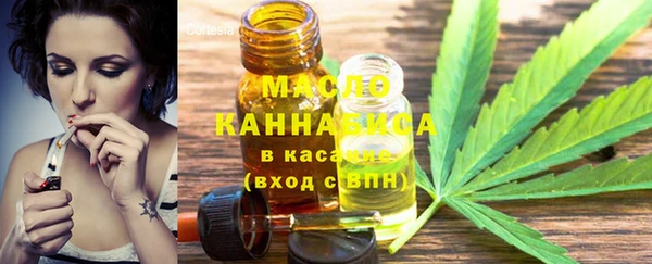 ПСИЛОЦИБИНОВЫЕ ГРИБЫ Гусев