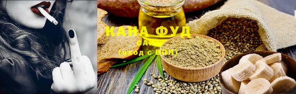 ПСИЛОЦИБИНОВЫЕ ГРИБЫ Гусев