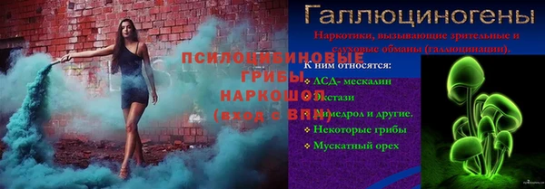 ПСИЛОЦИБИНОВЫЕ ГРИБЫ Гусев