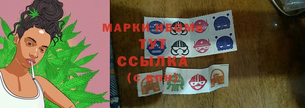 ПСИЛОЦИБИНОВЫЕ ГРИБЫ Гусев